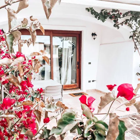 Holiday home Il Ciclamino Olbia